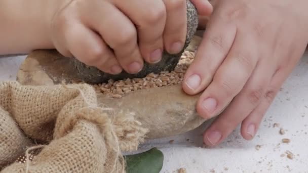 Mani con pietra per macinare semi di grano in polvere in un mortaio — Video Stock