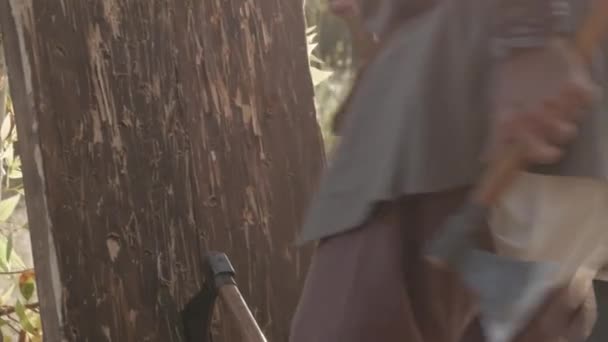 中世の再現 木製の板で斧射撃の競争の後の男性がハッチットを収集します — ストック動画