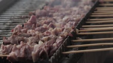 Arrosticini, lamb kebabs roast on hot embers, lamb skewers. Typical Italian dish