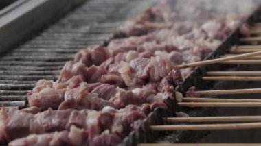 Arrosticini, lamb kebabs roast on hot embers, lamb skewers. Typical Italian dish