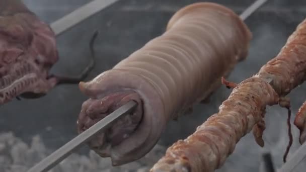 Various Types Pork Roast Meat Metal Skewer Coals Barbeque — Stok video
