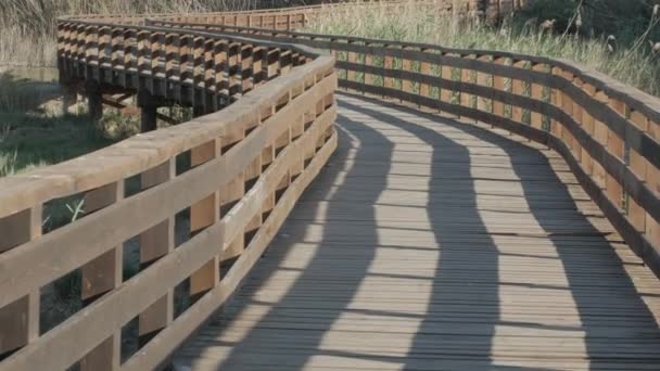 Walk Wooden Bridge Walk Lake Park — Stock Video