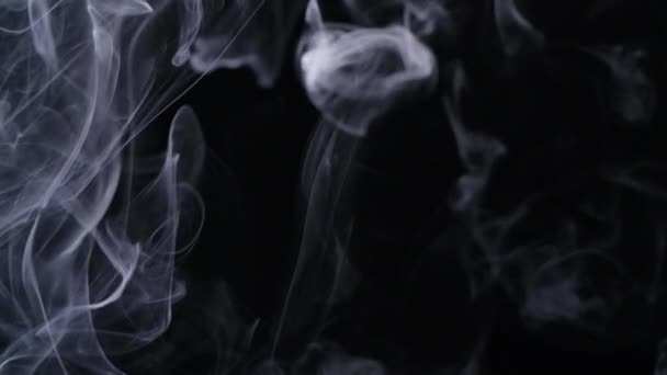 Real white smoke moves on black background — Stock Video