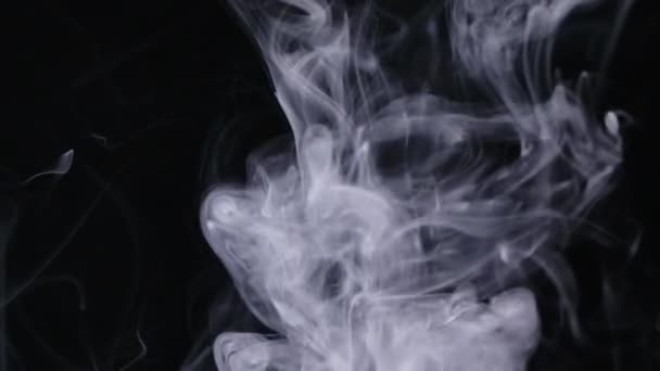 Настоящий белый дым движется на черном фоне — стоковое видео
