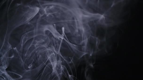 Real vit rök flyttar på svart bakgrund — Stockvideo