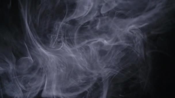 Настоящий белый дым движется на черном фоне — стоковое видео