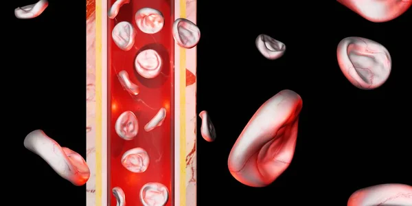Pele Camada Glóbulos Vermelhos Veia Cirurgia Vascular Ilustração — Fotografia de Stock
