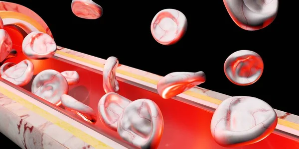 skin layer red blood cells vein vascular surgery 3d illustration