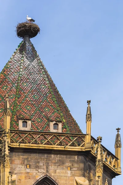 Čápí hnízdo na střeše domu v Alsasku, východní Francie — Stock fotografie