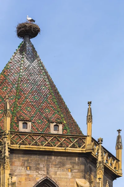 Stork nest on the roof of a house in Alsace region, eastern France — Fotografia de Stock