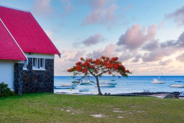 Notre Dame Auxiliatrice Kilisesi. Tropikal günbatımında Kaptan Malheureux 'da ateş ağacı var. Mauritius 