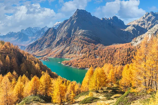 Excellent autumn view of the lake Devero in sunny day. Location place Devero, Italy. Scenic image of famous landmark. Natural wallpapers. Discover the beauty of earth. — Stok fotoğraf