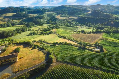 Oltrepo Pavese 'deki tepelerin hava manzarası günbatımında üzüm bağları ve tarlalarla kaplıydı, Lombardy, İtalya. 