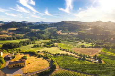 Oltrepo Pavese 'deki tepelerin hava manzarası günbatımında üzüm bağları ve tarlalarla kaplıydı, Lombardy, İtalya. 