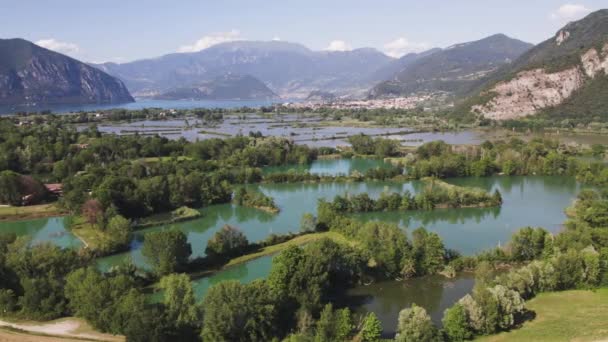 Riserva Naturale Torbiere Del Sebino Bellissimo Paesaggio Lago Che Riflette — Video Stock