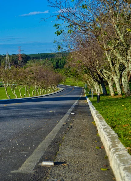 Asphalt Road Panorama Countryside Sunny Autumn Evening — Stock Photo, Image