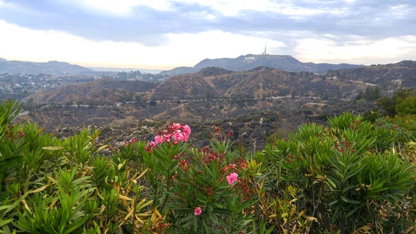 Panoramic View Hollywood Hills Surrounded Mountains — Foto de Stock