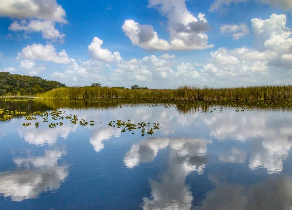 View Everglades Marsh Reflected Cloud Sky — Stockfoto