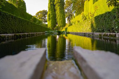 View of small lake and fountain among green gardens of Alhambra