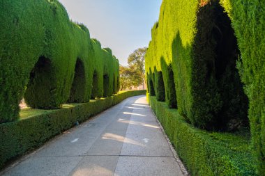 Path between green plant gardens in Alhambra.