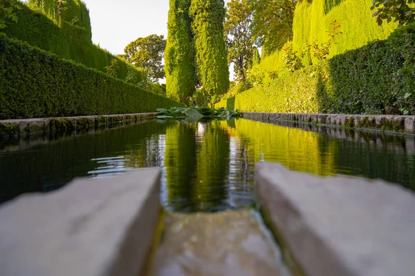 View Small Lake Fountain Green Gardens Alhambra — ストック写真