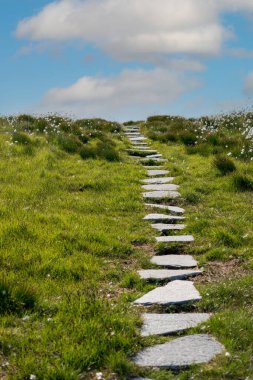 RUNDE, NORway - 2020 Haziran 19. Bird Island Runde 'da yürüyüş parkuru..