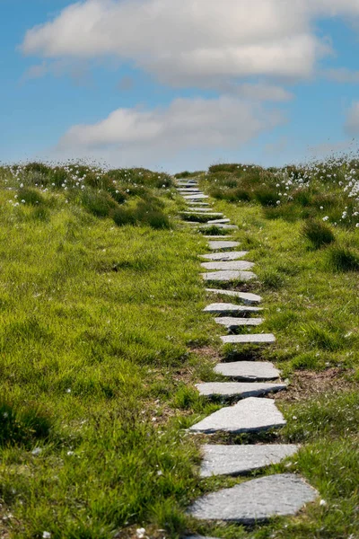 RUNDE, NORway - 2020 Haziran 19. Bird Island Runde 'da yürüyüş parkuru..