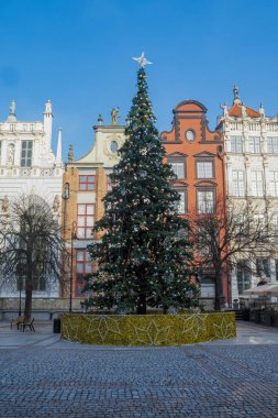 GDANSK, POLAND - 2020 HAZİRAN 17. Gdansk şehrinde Noel ağacı.