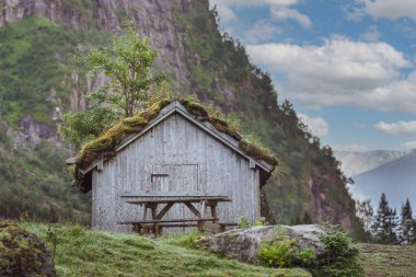 FLO, NORway - 2020 Ağustos 10. Çatısı çimen ve ağaçla kaplı eski gri çiftlik evi.