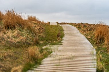  Norveç 'teki Runde kuş adasında yürüyüş denemeleri.