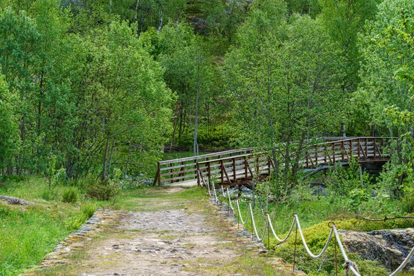 Valldal Noruega 2020 Junho Trilhas Para Caminhadas Com Ponte Floresta — Fotografia de Stock