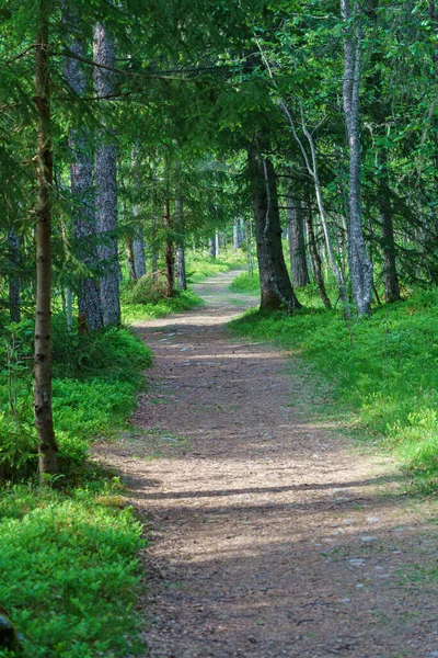 Valldal Norway 2020 Ιουνιου Όμορφες Δοκιμές Περπάτημα Στη Φύση — Φωτογραφία Αρχείου