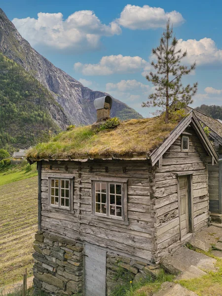 Tafjord Norway June Old Small Rustic Farm House Tree Roof — Stock Photo, Image