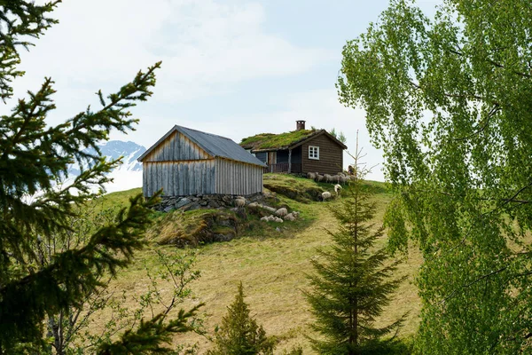 Valldal Norway 2020 June Cottage Hill Framed Green Trees — Stock Photo, Image