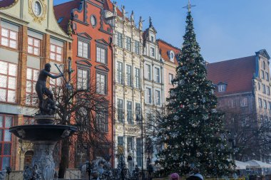 GDANSK, POLAND - 2020 JANUARY 17. Christmas tree next to fountain of Neptune in Gdansk city.