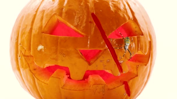 Concepto Halloween Una Calabaza Con Una Cicatriz Los Ojos Rojos — Vídeos de Stock