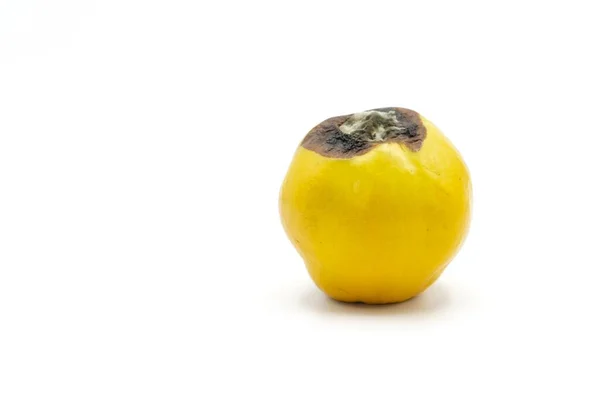 Fruta Membrillo Estropeada Moho Hongos Proceso Deterioro Putrefacción Fruta Fondo — Foto de Stock