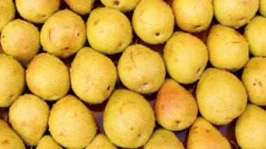 Kameranın odak noktası kahverengi bir zemin üzerinde satır ve sütunlar halinde dizilmiş armutlar üzerine hareket etmek