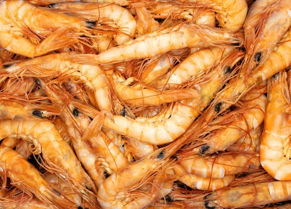 Isolated cooked white shrimp background