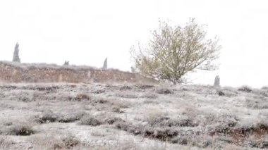 First snowfall in the province of teruel, aragon, spain, there are still green leaves, winter is coming, climate change