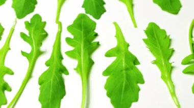 Aromatik mutfak bitkisinin aromatik yaprakları beyaz arkaplan fotokopi alanında roka adı verilen yemek pişirmede kullanılır.