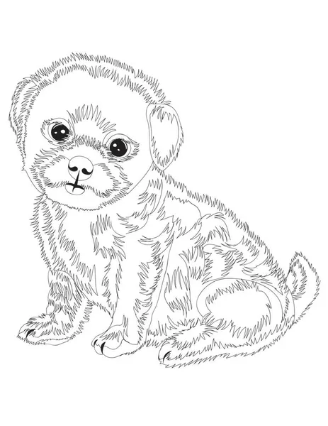 Dog Coloring Page Kids — Stock Vector