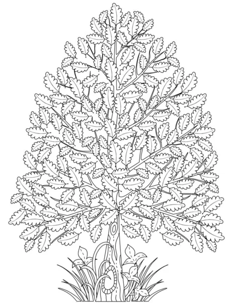 Arbre Coloriage Adulte — Image vectorielle