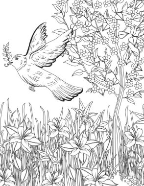 bird coloring page for adult