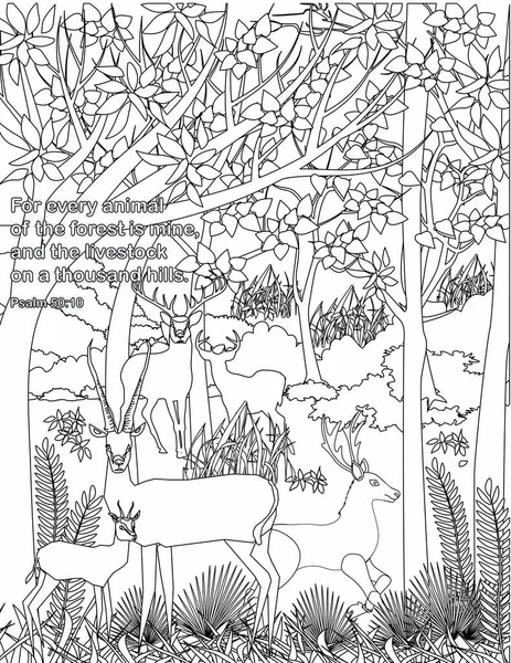 Bible Coloring Book Page Adults — Stockvektor