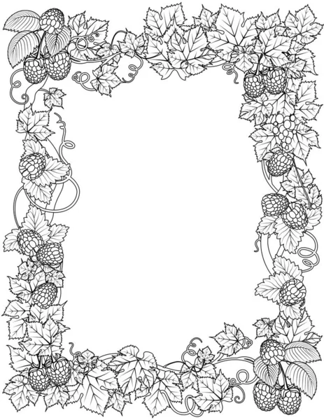 Floral Frame Coloring Page — Stockvektor