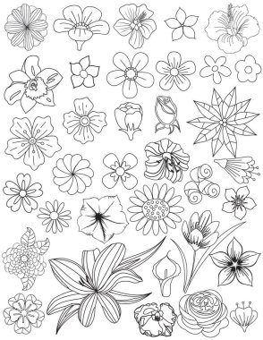 flower elements coloring page