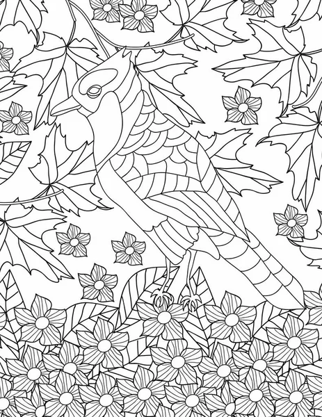 Bird Coloring Page Adult — Vetor de Stock