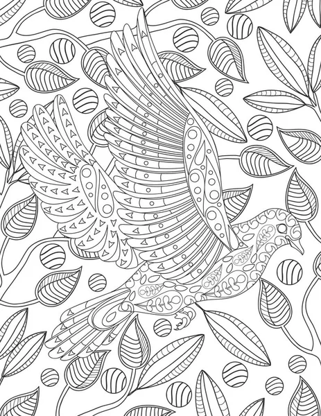 Bird Coloring Page Adult — Wektor stockowy