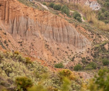 İspanya 'nın güneyindeki dağlık arazide çalılar ve ağaçlar var. Birkaç vadi var.